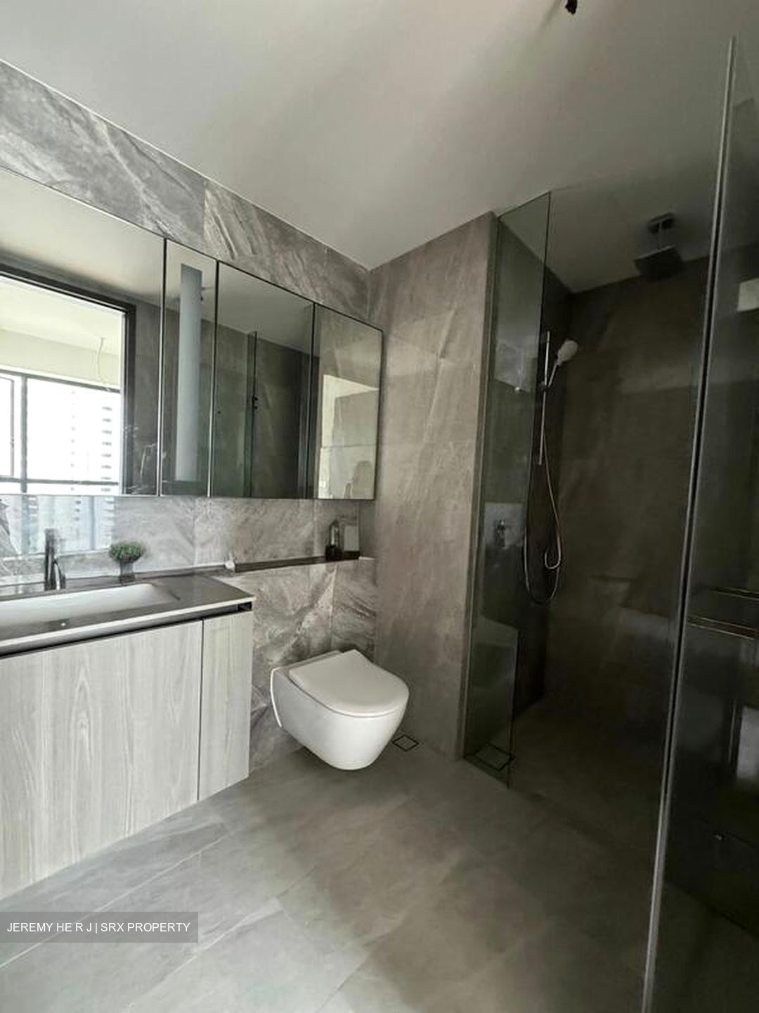 Piccadilly Grand (D8), Apartment #503149061